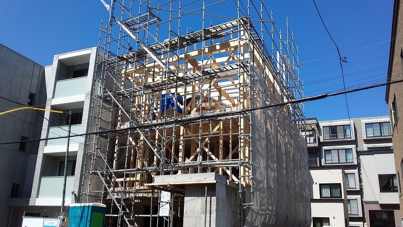 kino (1)