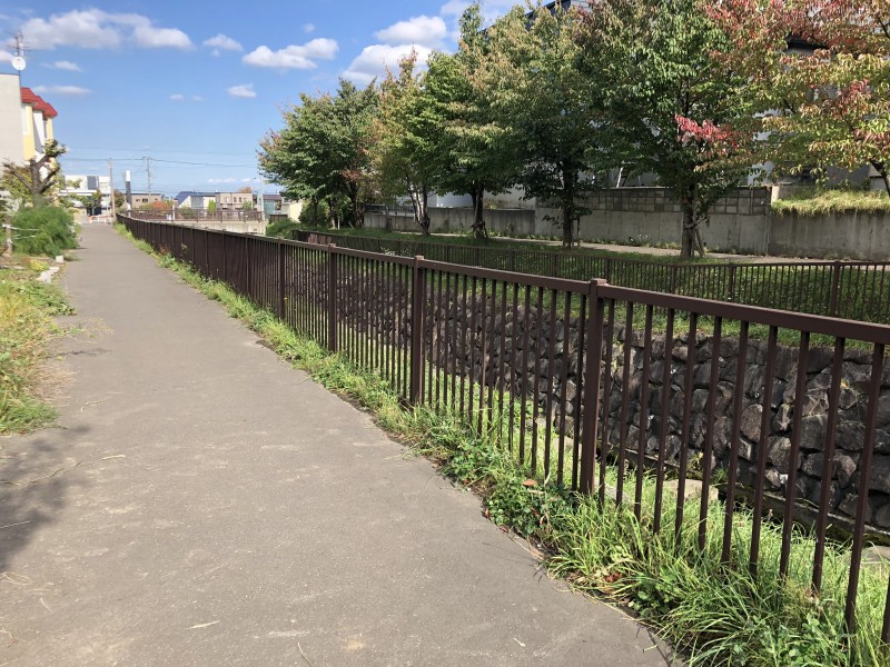 nakai (4)